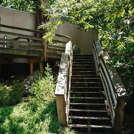 Quinta Do Pomar Maior * ארוקה