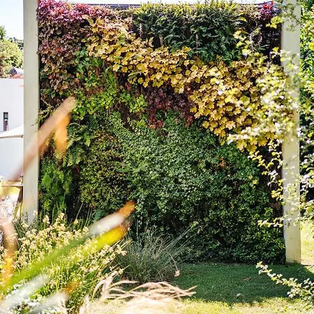 Quinta Do Pomar Maior