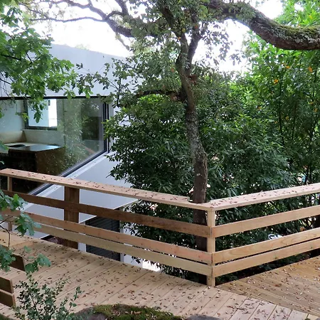 Vakantiehuis Quinta Do Pomar Maior *