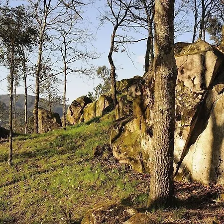 Dom wakacyjny Quinta Do Pomar Maior