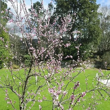 Vakantiehuis Quinta Do Pomar Maior *