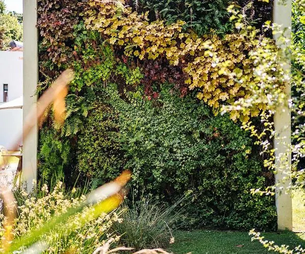 Quinta Do Pomar Maior