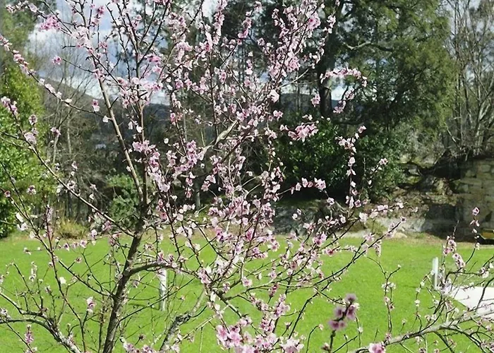 度假居 Quinta Do Pomar Maior *